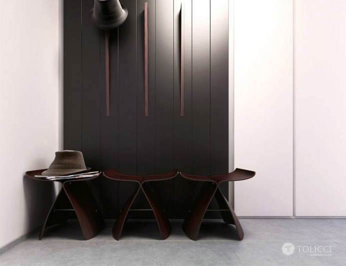 Modern Cosily Furnished Home by Studio Tolicci