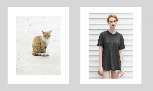 pete deevakul #girl #deevakul #doppleganger #cat #pete #photography #art
