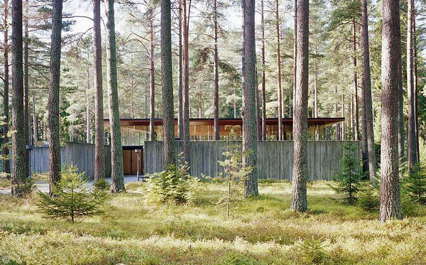 woods #forest #architecture #woods