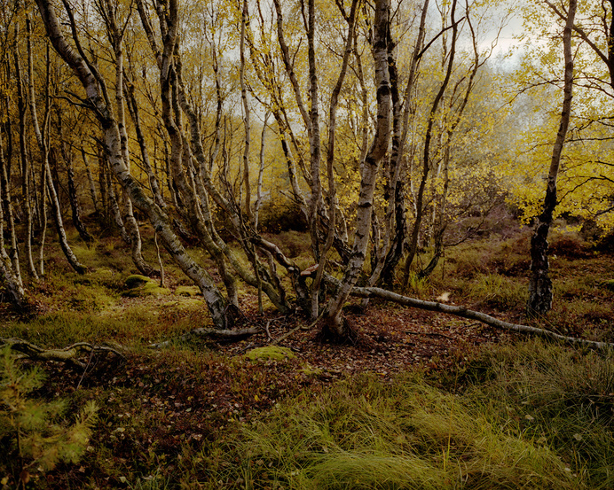 2009–2014 #peter #photography #autumn #zeglis