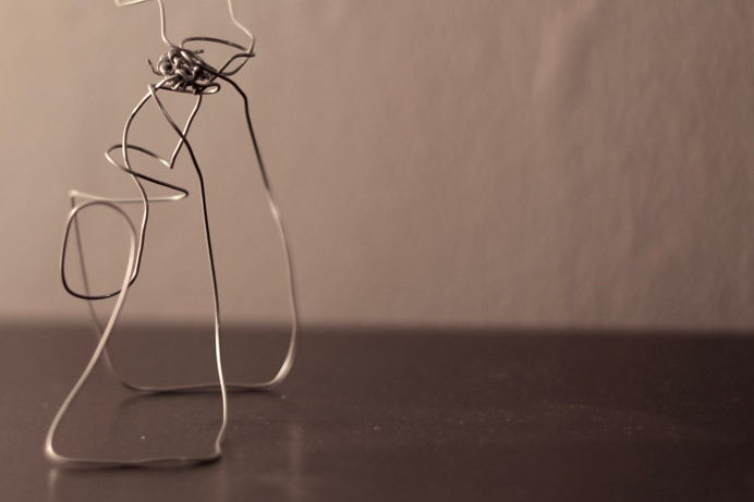 22 gauge #steel #wire #sculpture