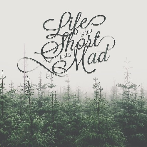 Life is too Short to say Mad #typography hand lettering