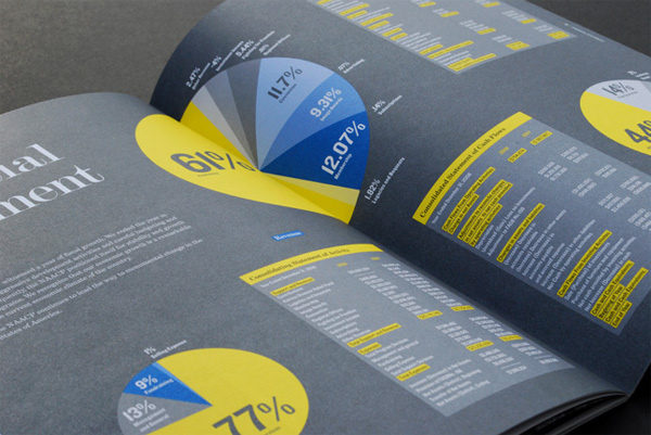 NAACP Annual Report #infographics #annual #report #layout #colour