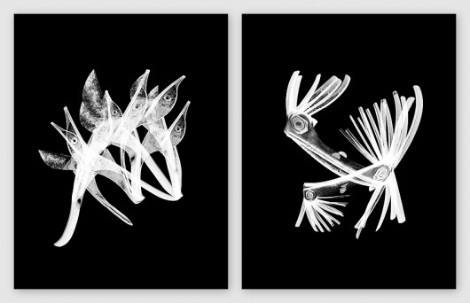 ANDREAS JOHANSEN #design #graphic #poster
