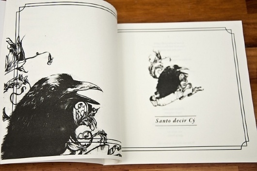 CY Single Edition. - Voyeur #ink #book #illustration #crow #editorial