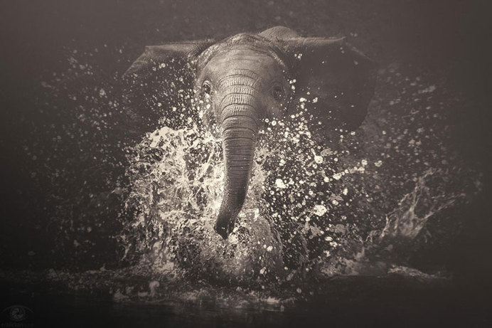 africa-souls-zoo-photography-manuela-kulpa-4 #photography #animals