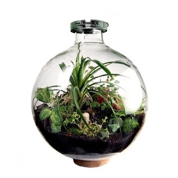 Fab.com | 50 Liter Bio-Dome #design #plants #home