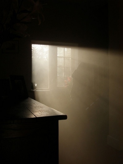 Free as a Bee #sunshine #photography #room