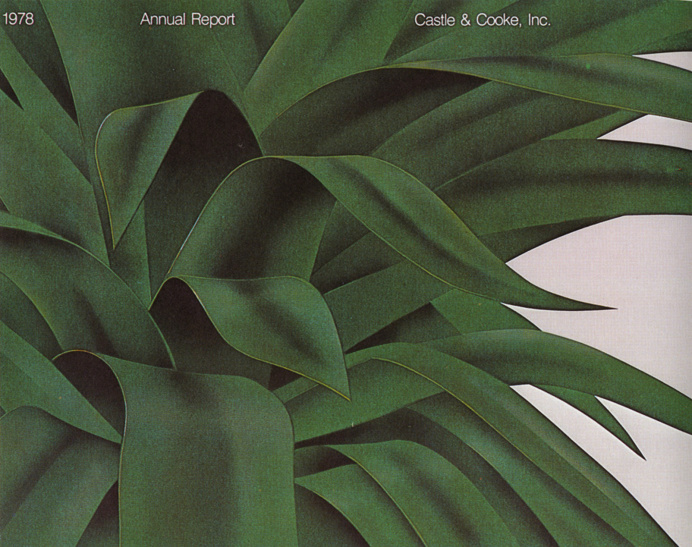 annual report