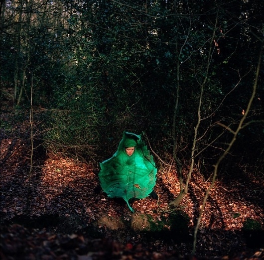 Bird & Leaf : • #performance #leaf #riitta #bird #ikonen #art #forest