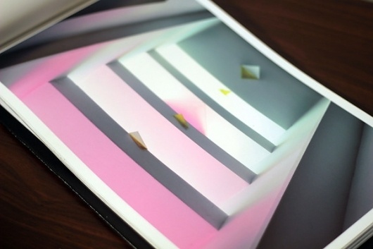 Libro Experimental on the Behance Network #morphology #photography #experimental #book