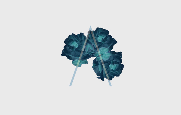 Playing with Spikes #blue #illustration #light #roses