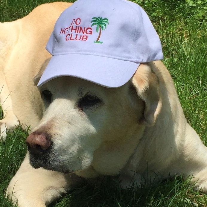 headwear, slogan,