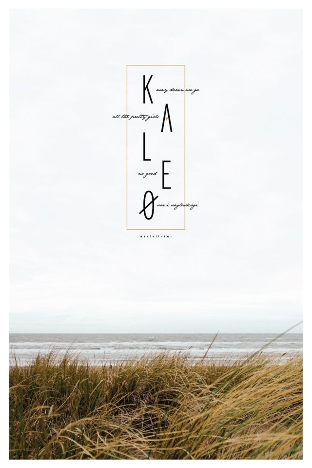 music poster, album art, fan art, music, vinyl, record design, graphic design, album, music art, poster design,