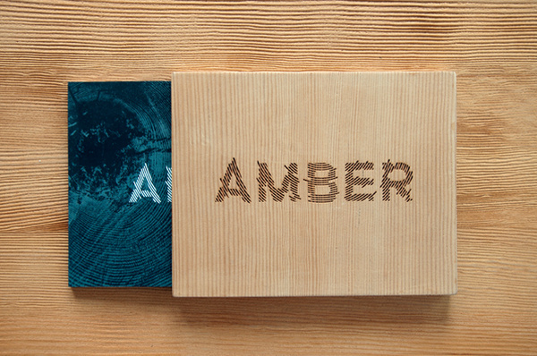 amber book case #wood #case #book #laser