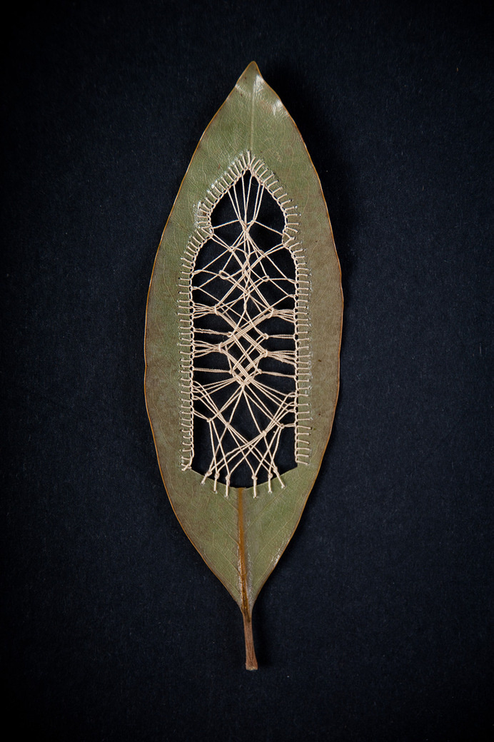 Stitched Leaves by Hillary Fayle leaves embroidery #embroidery #leaves