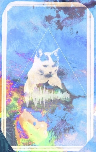 chrissie shop — ACID CAT #abbott #chrissie #flashback #acid #cat