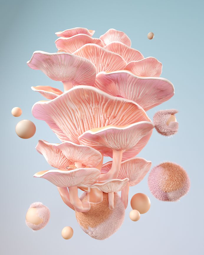 Personal Collection 04 on Behance