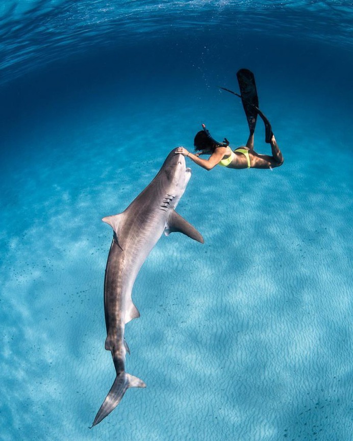 Astonishing Underwater Photography by André Musgrove