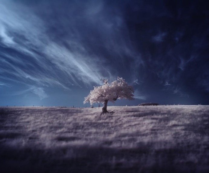 Amazing Nature Landscapes by Andy Lee