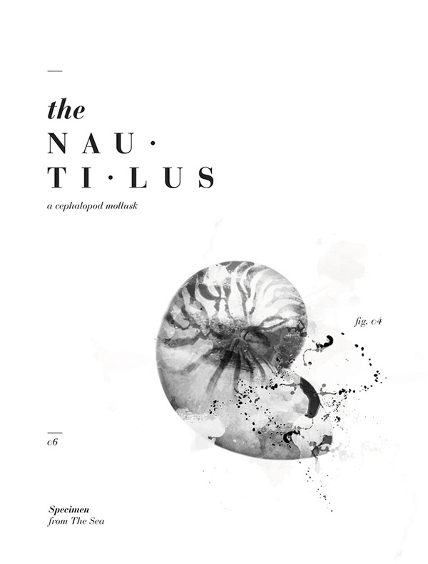 Taxidermy of Organisms Sarah.T & Reinold.L #arts #visual #design #publication