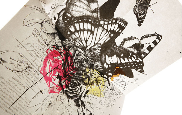 SS10 Invite Design #butterflies #illustration #ink #flowers