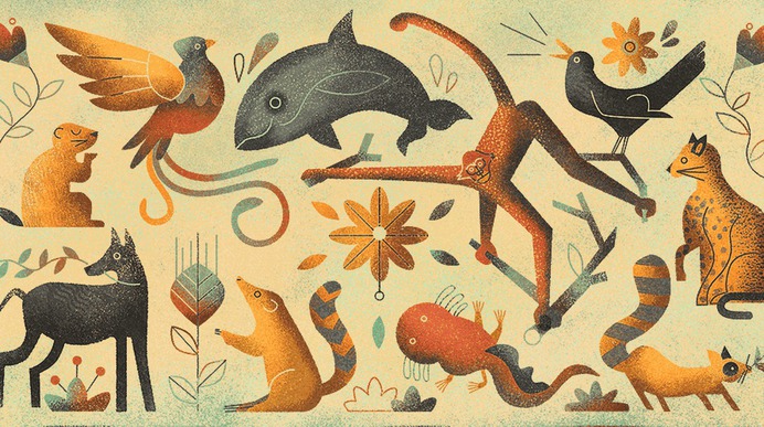 11 Awesome Native Animals You Must See in Mexico