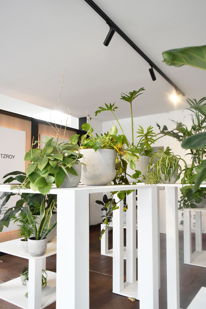 display suite interior inspo