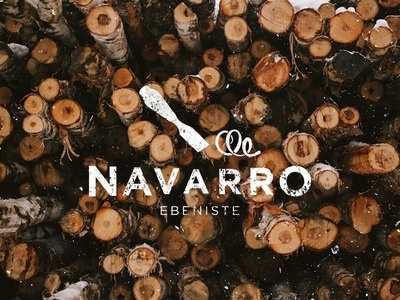 Navarro logo #logo