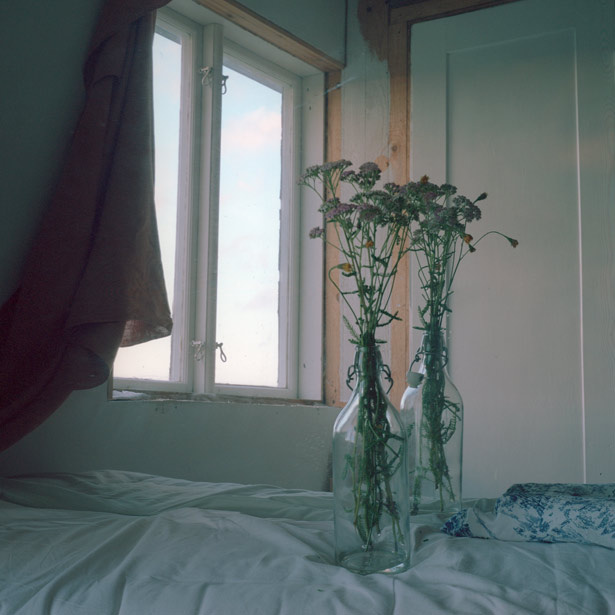 carl kleiner