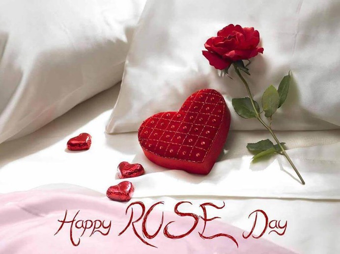 Rose Day 2020: Everything You Should Know- Origin, Happy Rose Day Quotes, Proposal Ideas, and Gifting Ideas.