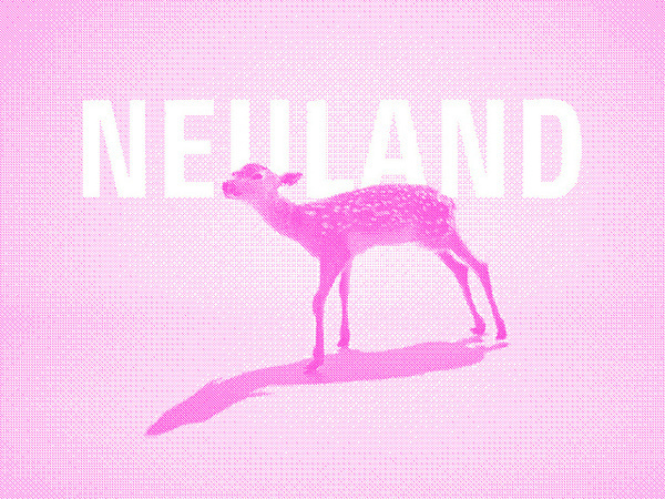 NEULAND |Â Fallstudie | Artwork #funktion #form #boxde #blackmilk #grafische #graphica #la #heilanstalt #fucks #neuland #viva