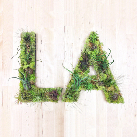 "LA" Garden #sculpture #losangeles #airplants #hashtaggarden #gifts #succulents #la #art #artweheart #moss #green