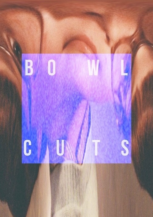 Bowl Cuts #design #typography #poster #fashion #hair #nerd #cuts