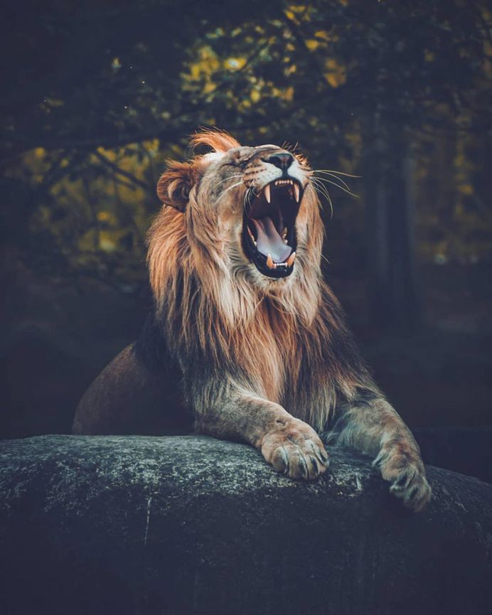 Stunning Moody Adventure Photography by Marcel Siebert