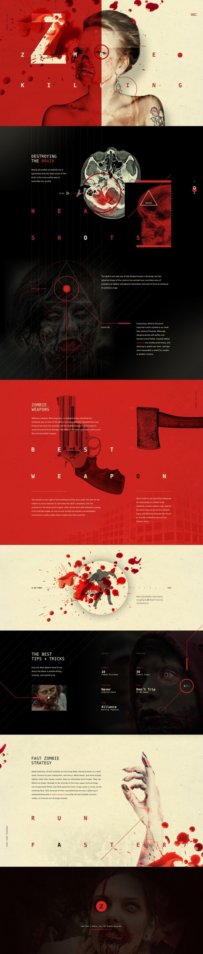 Zombie Killing