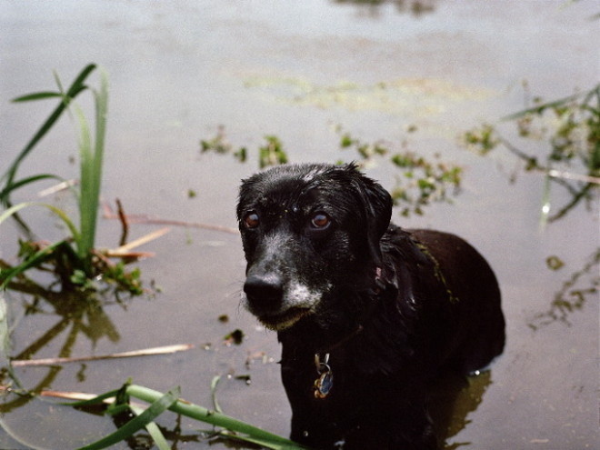 Retrived by Charlotte Dumas #inspiration #photography #animal