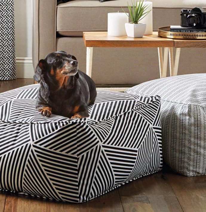 Most Dog Friendly Stores in America - Jo-Ann Fabrics