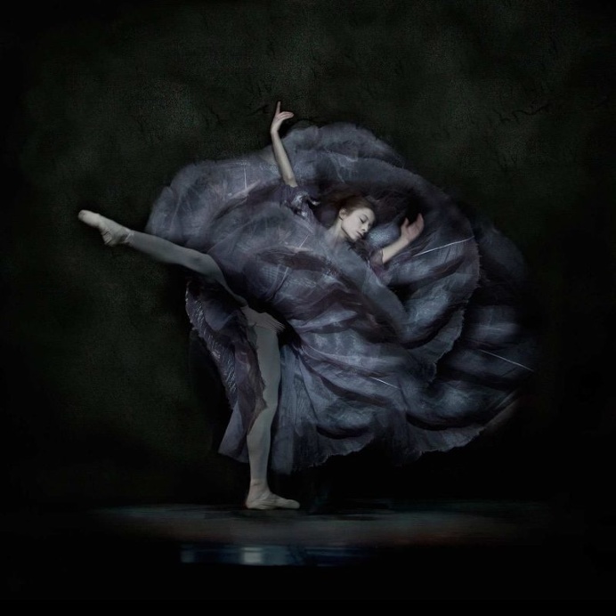 The Essence of Ballet by Ingrid Bugge