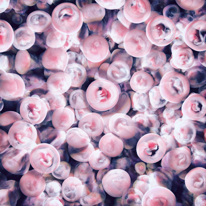 Jellyfish Bloom Series by Ari Weinkle