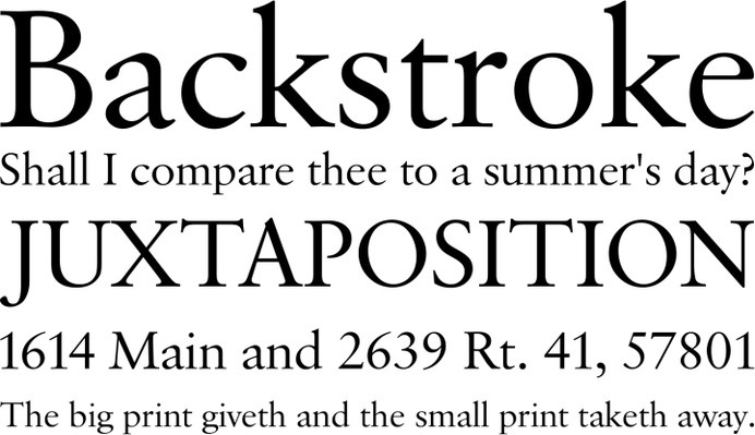 Savoy Font Phrases #font #serif #savoy #web #typography