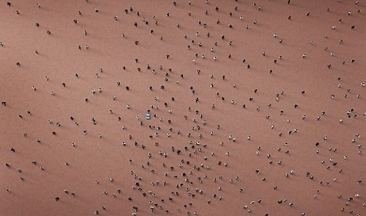 Photography / —Bird's Eye View of City Life #photography