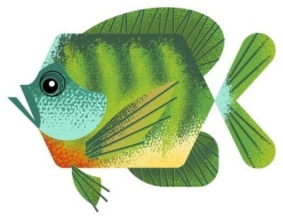 FFFFOUND! | c u r i o u s: October 2008 #illustration