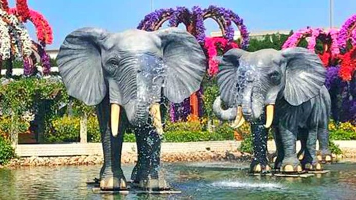 Elephant Fountains have no flowers on them. It is the only non-flower related floral theme at the Dubai Miracle Garden.