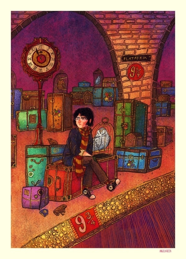 Harry Potter on the Behance Network #harry #illustration #potter