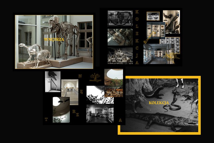 Booklet projects | Photos, videos, logos, illustrations and branding on Behance