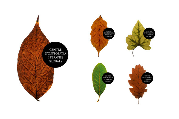 Centre d'Osteopatia i TerÃ pies Globals #terpies #logotype #estudi #i #centre #cotg #globals #dosteopatia #design #graphic #torras #conrad #barcelona #leaves