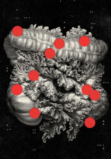 New York Times Magazine — F.B.I and the White House - McQuade