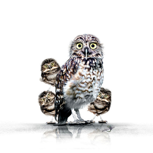 Werner Dreblow #inspiration #photography #animal