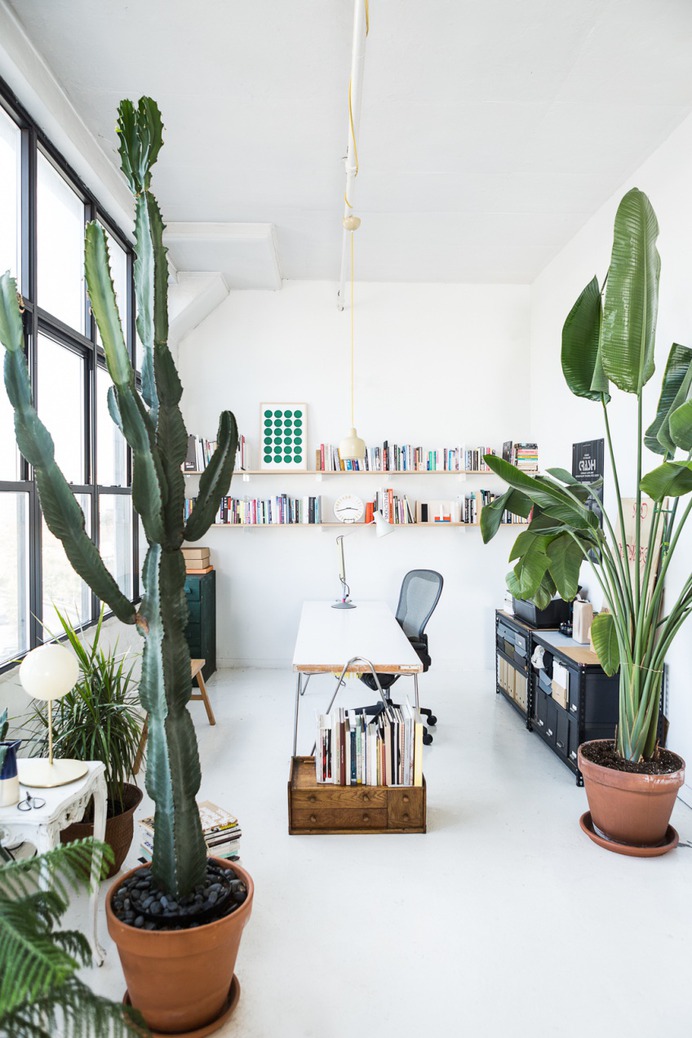 Really Great Ideas for White Walls Apartment Decorating